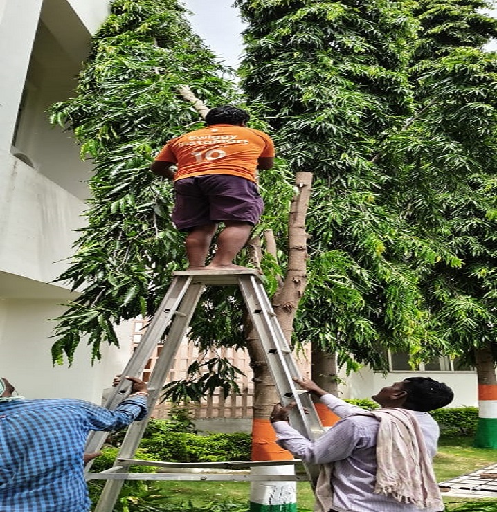 Chandana Tree Cutting Services